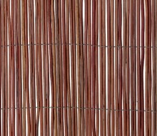 Fern Screen